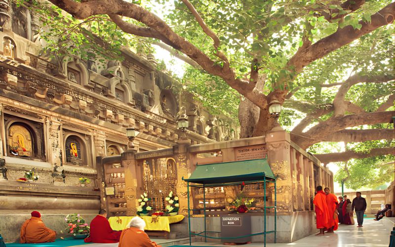 Bodhgaya Pilgrimage Experience